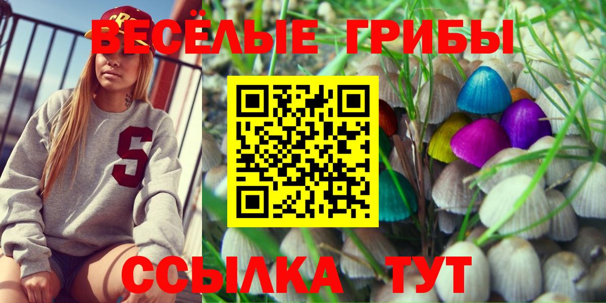 Галлюциногенные грибы прущие грибы  Галлюциногенные грибы Cubensis  Вход с VPN  Балашов 