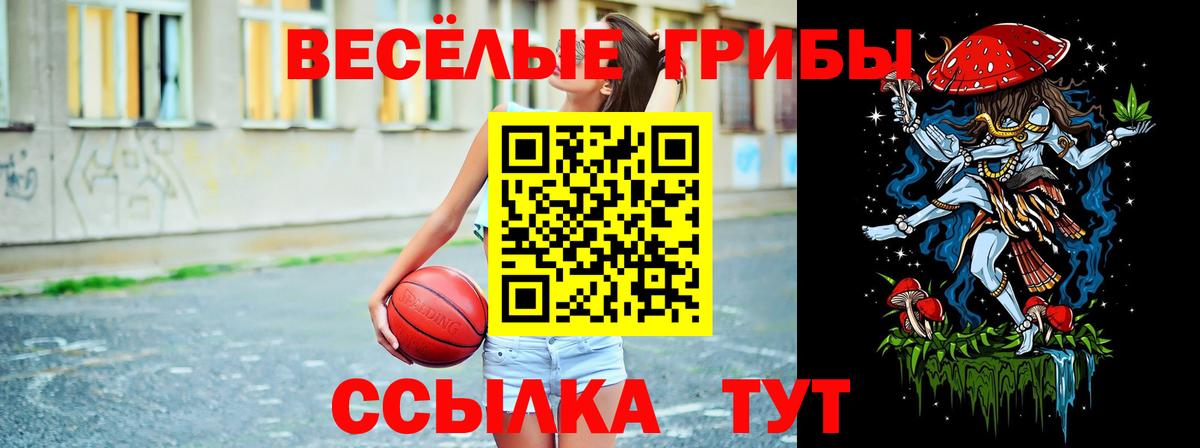 Галлюциногенные грибы GOLDEN TEACHER Балашов